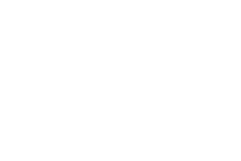I1000DS_FIREGRAM (1)