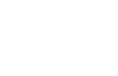 I1000DS_FIREGRAM (2)