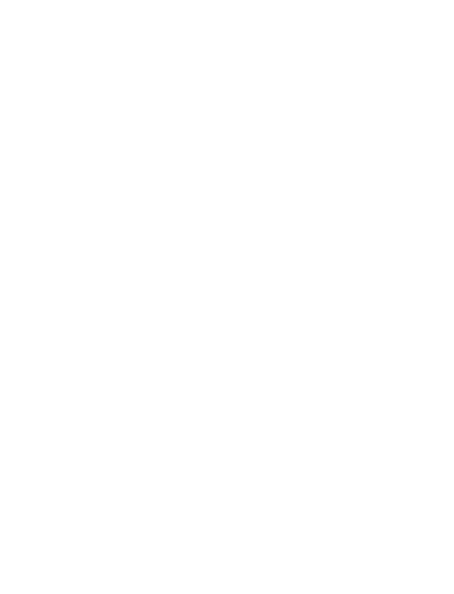 Saphir_Website_Diagram-411x1024 (1)